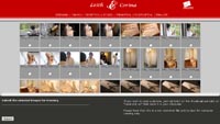 web-designer-flash-animation-freelance
